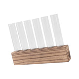 Glass Plant Propagation Station Plant Propagation Tubes Desktop Plant Terrarium With Wooden Stand Mini Test Tube Home Decor 6 Tubes