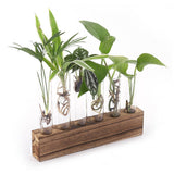 Glass Plant Propagation Station Plant Propagation Tubes Desktop Plant Terrarium With Wooden Stand Mini Test Tube Home Decor 6 Tubes - Extra Image