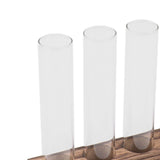 Glass Plant Propagation Station Plant Propagation Tubes Desktop Plant Terrarium With Wooden Stand Mini Test Tube Home Decor 6 Tubes