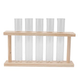 5 Test Tube Plant Terrarium Transparent Observe Growth State Plant Terrarium with Wooden Stand Water Plant Holder