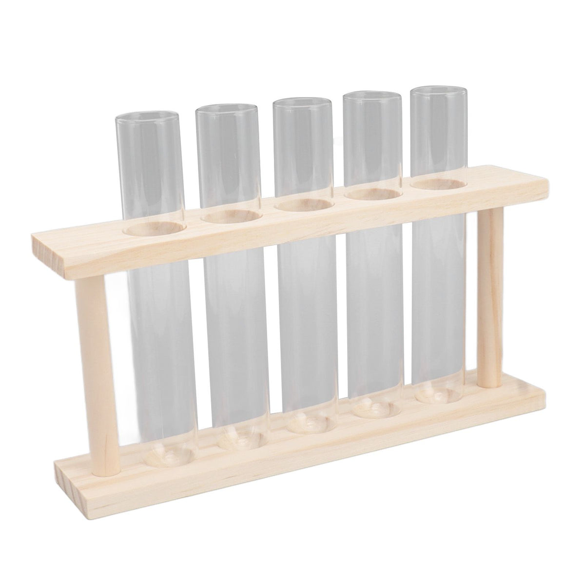 5 Test Tube Plant Terrarium Transparent Observe Growth State Plant Terrarium with Wooden Stand Water Plant Holder