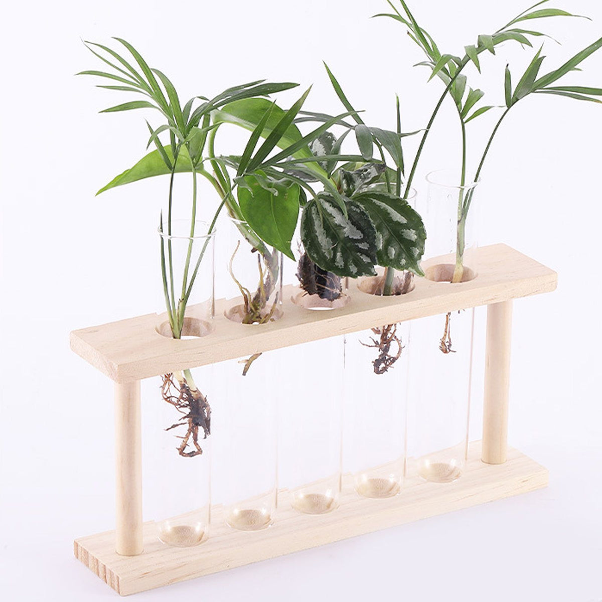 5 Test Tube Plant Terrarium Transparent Observe Growth State Plant Terrarium with Wooden Stand Water Plant Holder