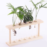 5 Test Tube Plant Terrarium Transparent Observe Growth State Plant Terrarium with Wooden Stand Water Plant Holder - Extra Image