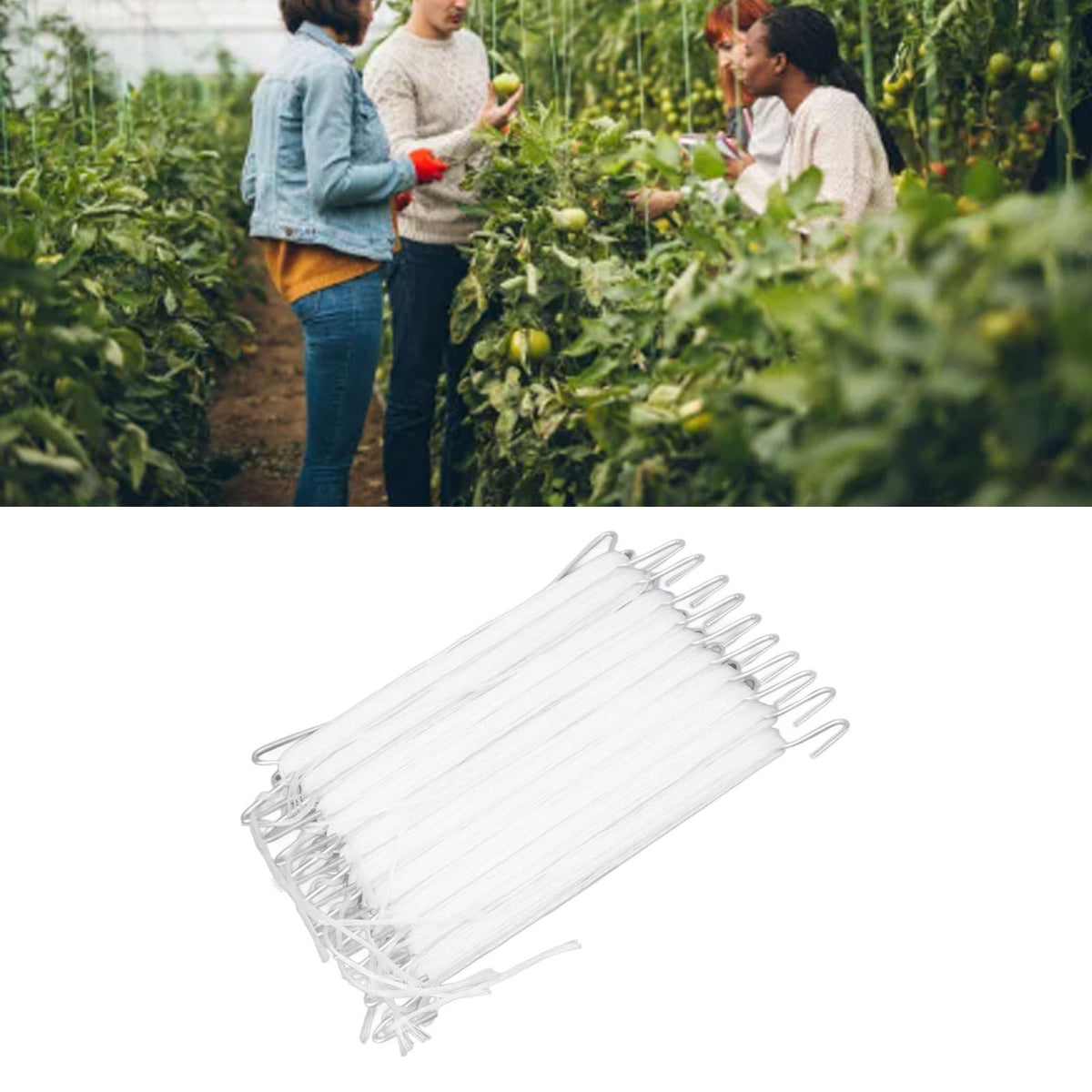 10Pcs Plant Climbing Hook Tomato Support J Hook Garden Hooks for Gardening Planting