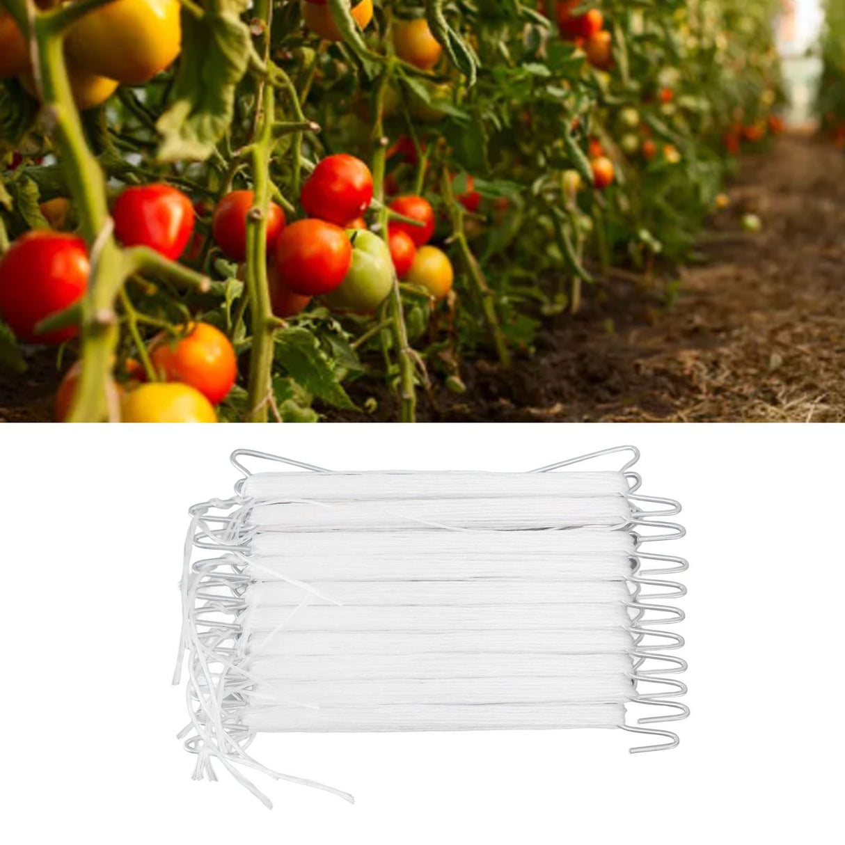 10Pcs Plant Climbing Hook Tomato Support J Hook Garden Hooks for Gardening Planting