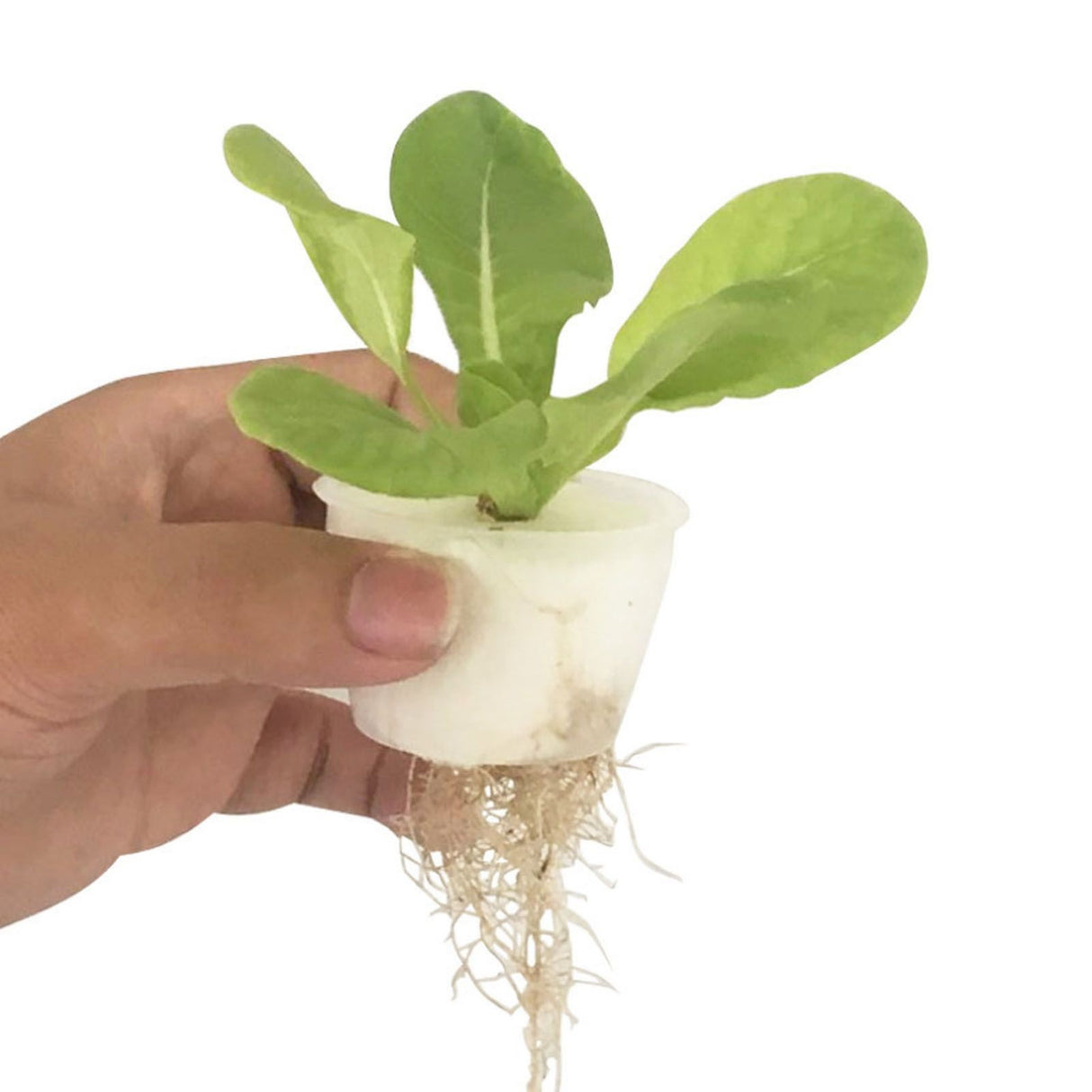 100PCS Net Cups with 100PCS Sponges Plastic Breathable Bottomless Garden Plant Net Pot Bucket Basket for Hydroponics White