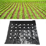 Greenhouse Perforated Mulch High Tenacity Black Durable Perforated PE Mulch Film for Plants Grow