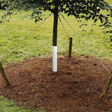 Tree Trunk Protector Plastic Tree Bark Protector Wrap Grow Tubes to Protect Saplings Plants From Deer Rabbit Cats Rodents Mowers 6Pcs