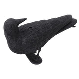 Realistic Elbow Crow Statue Plastic Waterproof Crow Decoys for Yard Garden Patios Halloween Decoration