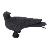 Realistic Elbow Crow Statue Plastic Waterproof Crow Decoys for Yard Garden Patios Halloween Decoration - Low Angle