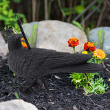 Realistic Elbow Crow Statue Plastic Waterproof Crow Decoys for Yard Garden Patios Halloween Decoration - Extra Image