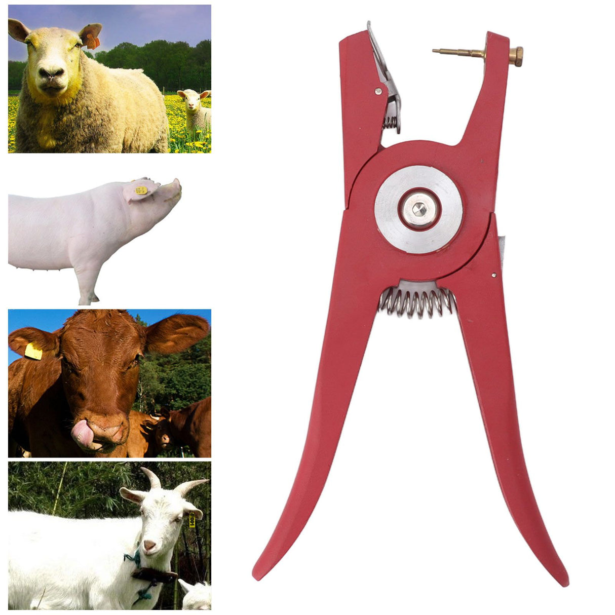 Metal Alloy Livestock Ear Tag Pliers Universal Livestock Ear Tag Applicator for Cattle Pig Goat Sheep Lamb