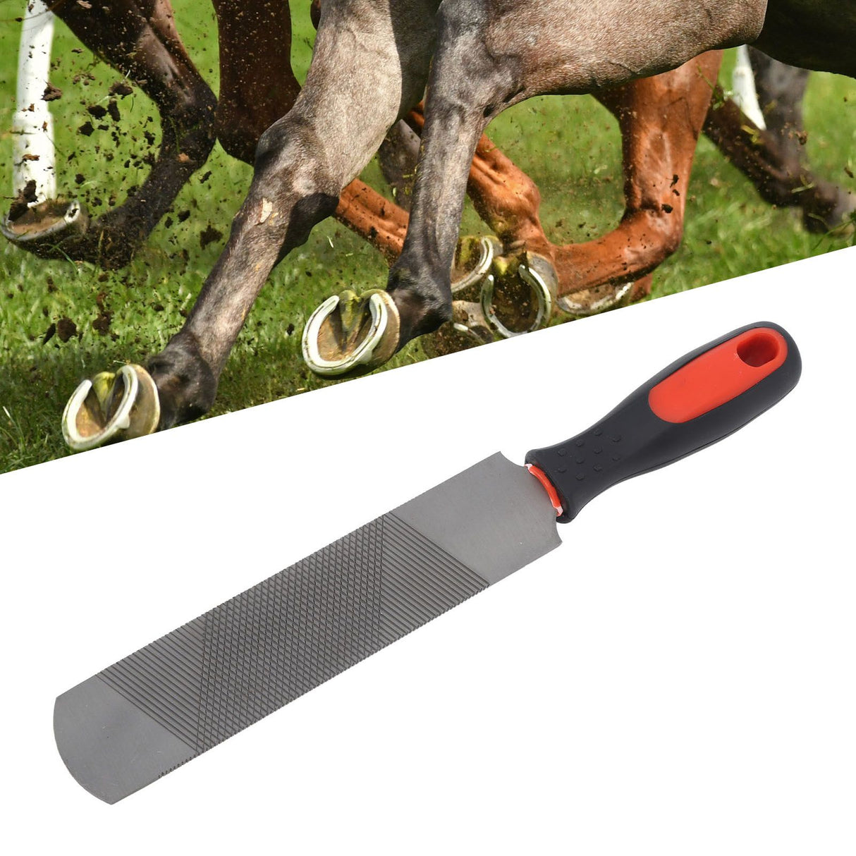 8 Inch Hoof Rasp Carbon Steel Ergonomic Horseshoe File Horseshoe Trimming Tool with Flexible Handle for Horse