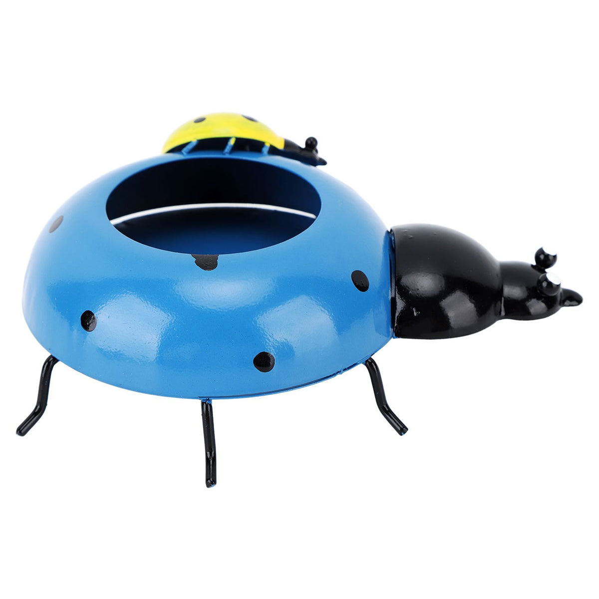 5.4cm Diameter Flower Pot Decor Ladybug Shaped Smoothing Surfaces Iron Planter Pot for Garden Blue