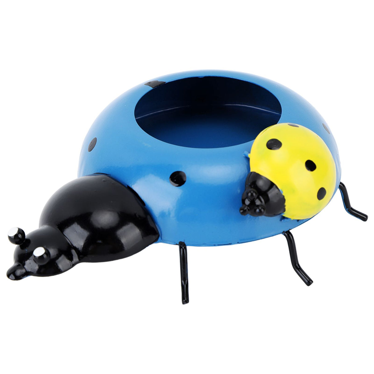 5.4cm Diameter Flower Pot Decor Ladybug Shaped Smoothing Surfaces Iron Planter Pot for Garden Blue