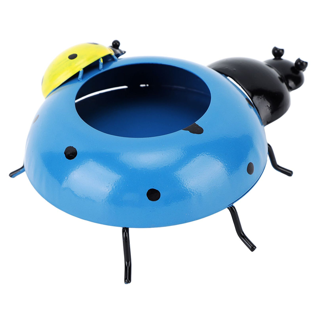 5.4cm Diameter Flower Pot Decor Ladybug Shaped Smoothing Surfaces Iron Planter Pot for Garden Blue