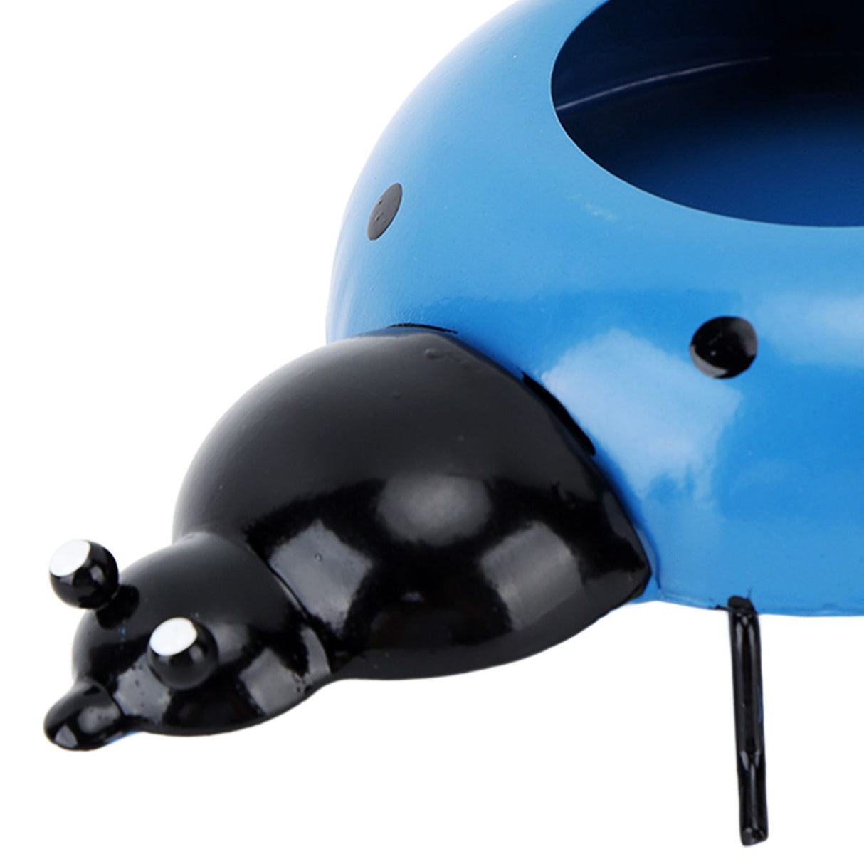 5.4cm Diameter Flower Pot Decor Ladybug Shaped Smoothing Surfaces Iron Planter Pot for Garden Blue