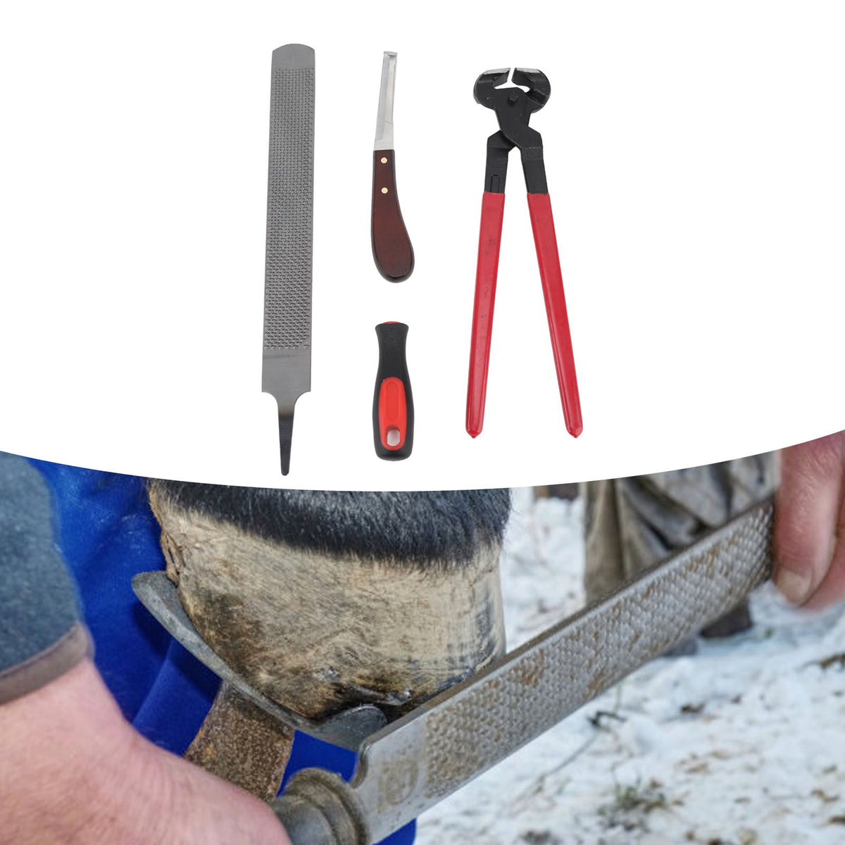 Hoof Repair Tool Kit Steel Double Sided File Hoof Trimmer Tool Kit for Horses Cattle Sheep Donkeys