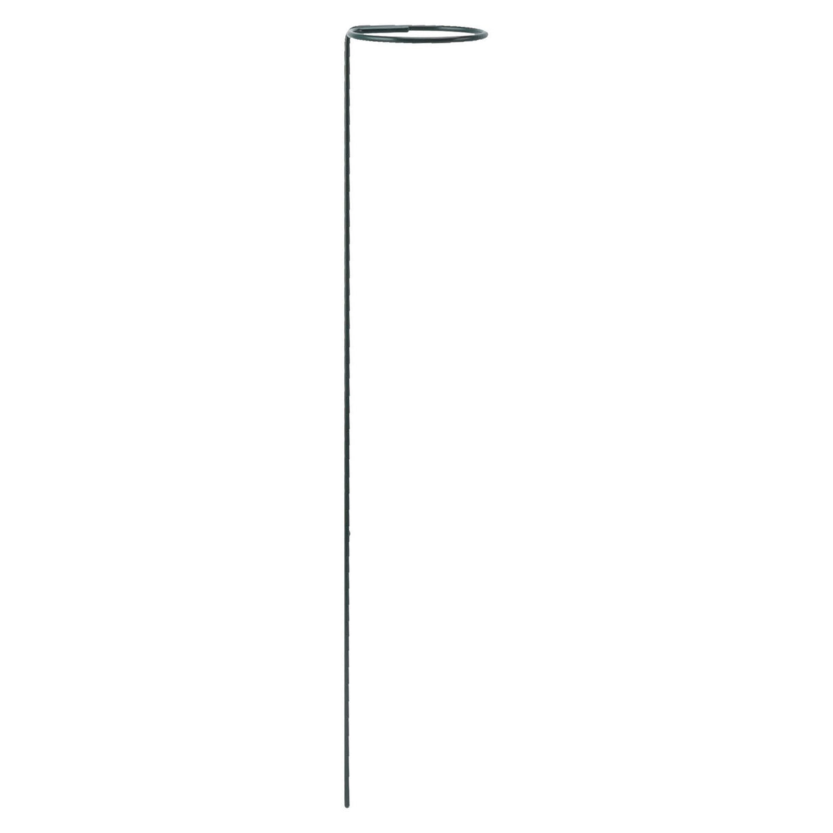 12Pcs Plant Stakes Reusable Plant Sticks Support Anti Rust Stem Flower Support for Home Garden Yard Farm