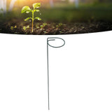 12Pcs Plant Stakes Reusable Plant Sticks Support Anti Rust Stem Flower Support for Home Garden Yard Farm - Extra Image