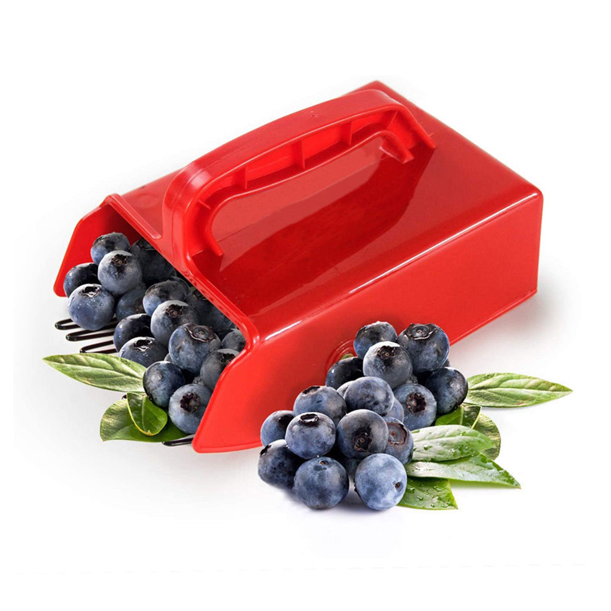 Blueberry Picker Scoop Berry Rake Hand Garden Farm Tool with Metallic Comb Ergonomic Handle