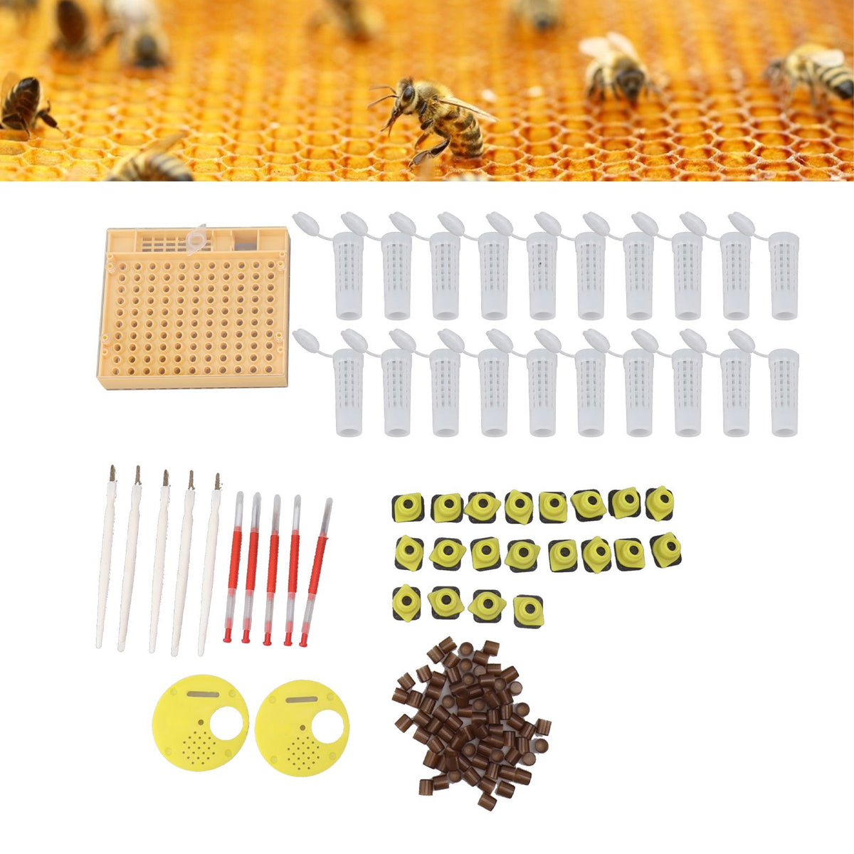 Queen Bee Rearing System Plastic Breeding Cell Cup Kit Beekeeping Grafting Equipments Supplies