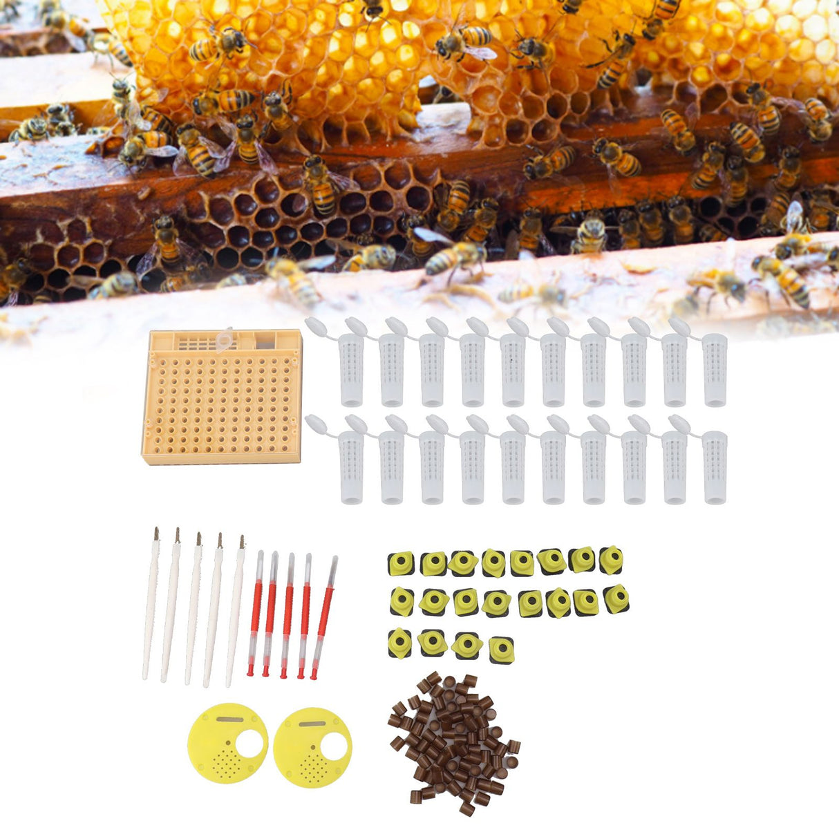 Queen Bee Rearing System Plastic Breeding Cell Cup Kit Beekeeping Grafting Equipments Supplies