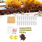 Queen Bee Rearing System Plastic Breeding Cell Cup Kit Beekeeping Grafting Equipments Supplies