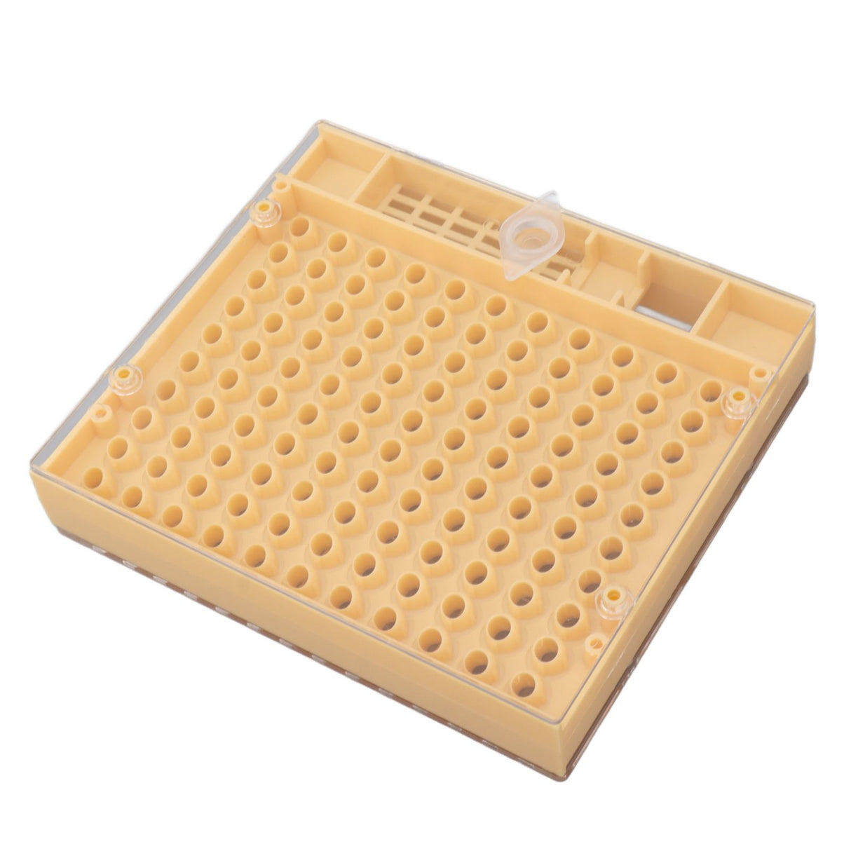 Queen Bee Rearing System Plastic Breeding Cell Cup Kit Beekeeping Grafting Equipments Supplies