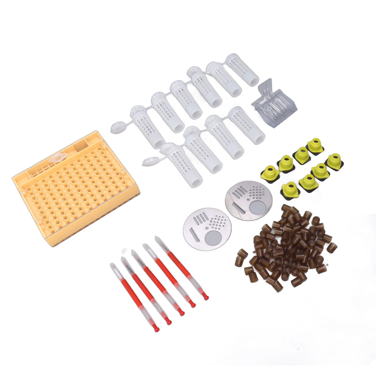 Plastic Queen Rearing System Beekeeping Queen Bee Rearing Grafting Kit Beekeeping Tools Supplies