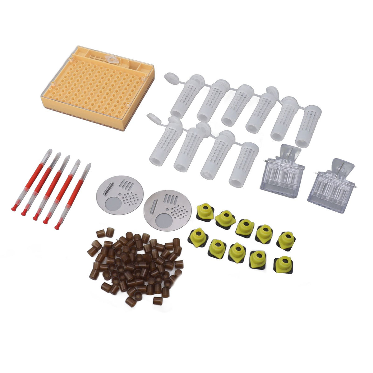 Plastic Queen Rearing System Beekeeping Queen Bee Rearing Grafting Kit Beekeeping Tools Supplies