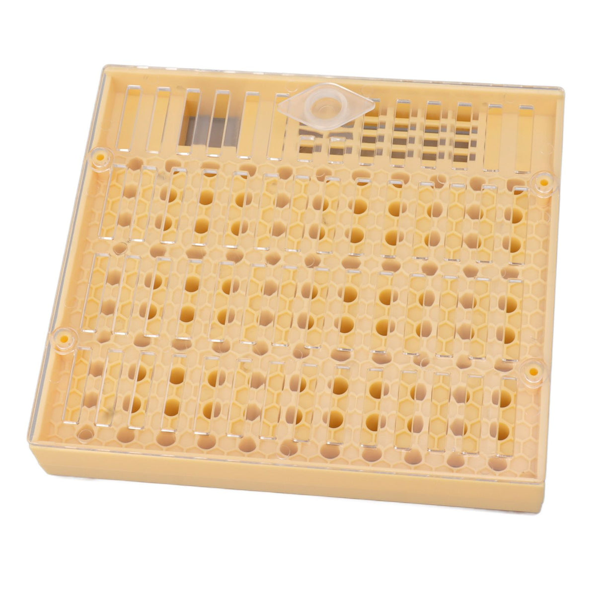 Plastic Queen Rearing System Beekeeping Queen Bee Rearing Grafting Kit Beekeeping Tools Supplies