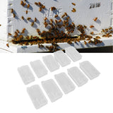 10 Pcs Beekeeping Tools Multifunctional Plastic Beekeeping Box Extra Large Beekeeping Cage