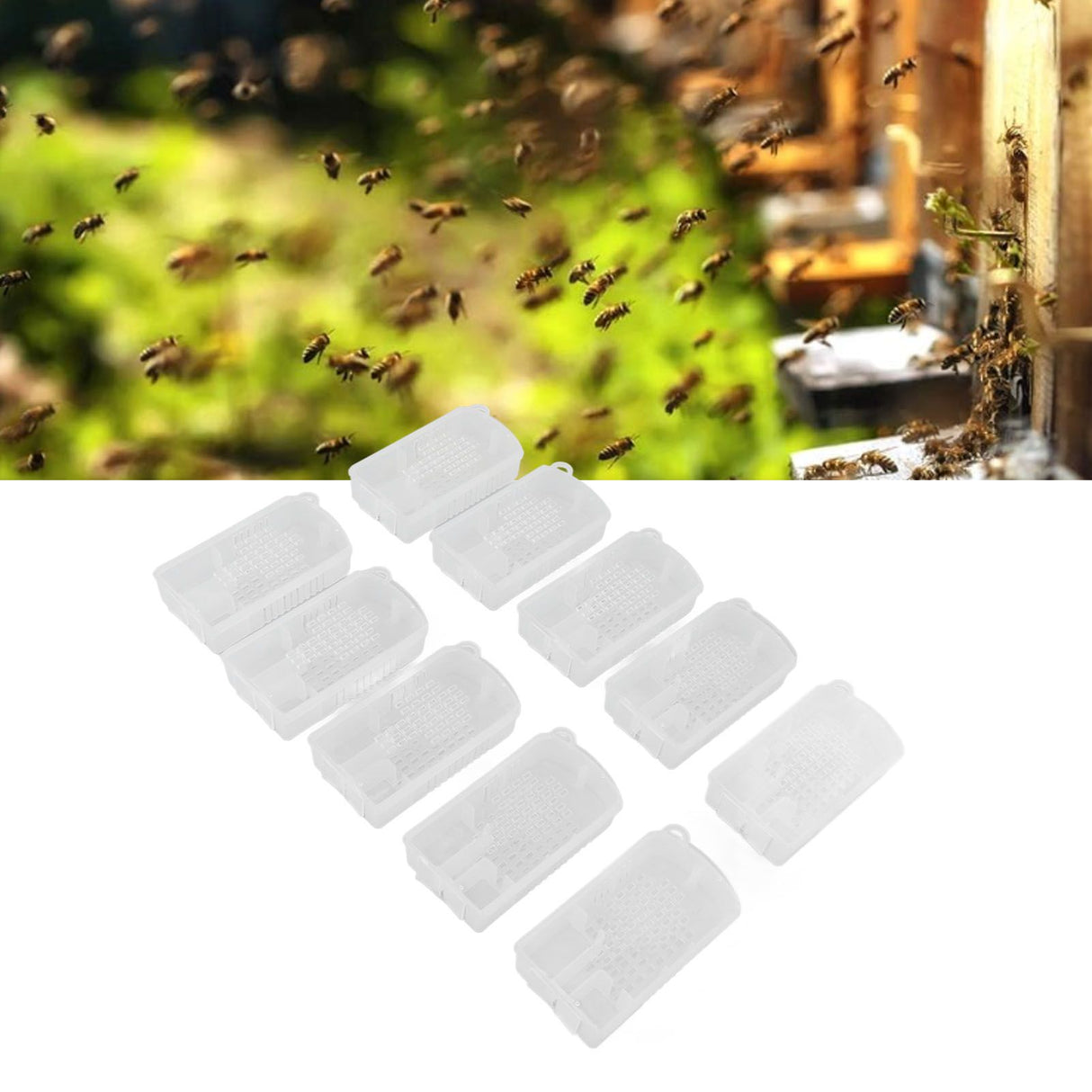 10 Pcs Beekeeping Tools Multifunctional Plastic Beekeeping Box Extra Large Beekeeping Cage