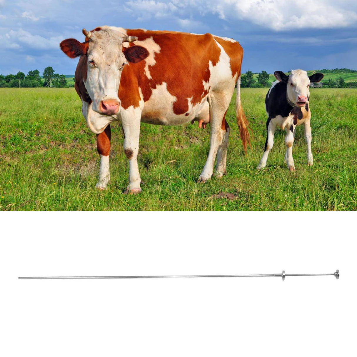 Cow Inseminating Rod 304 Stainless Steel Artificial Animal Breeding Tool 0.25ML 0.5ML Universal