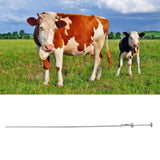 Cattle Insemination Tube 304 Stainless Steel Smoothly Front End Insemination Pipe Breeding Catheter for 0.25ml 0.5ml