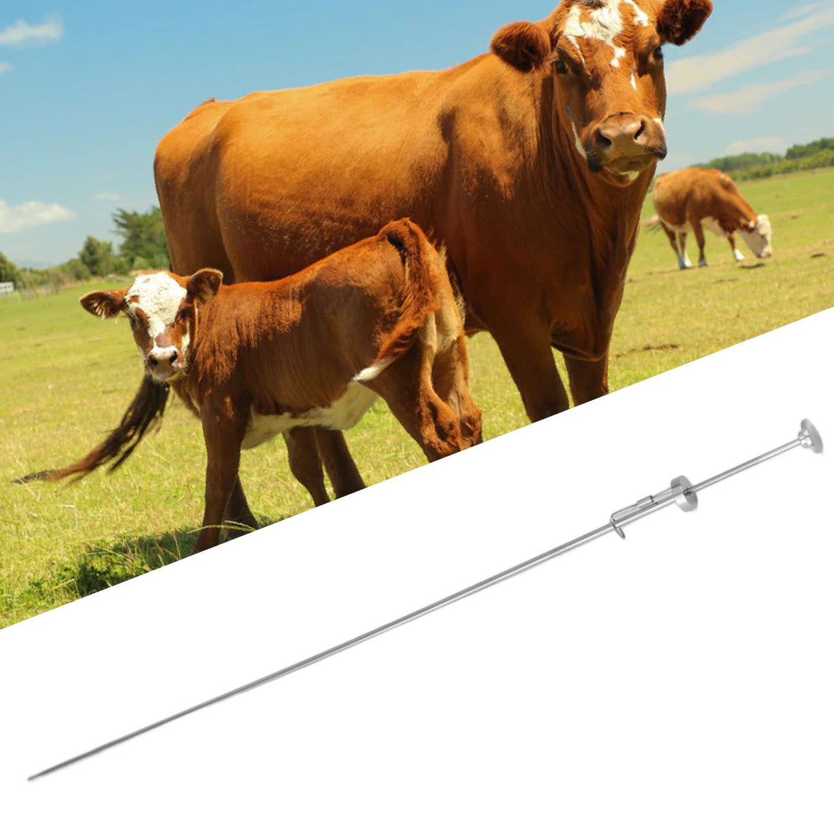 Cattle Insemination Tube 304 Stainless Steel Smoothly Front End Insemination Pipe Breeding Catheter for 0.25ml 0.5ml