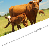 Cattle Insemination Tube 304 Stainless Steel Smoothly Front End Insemination Pipe Breeding Catheter for 0.25ml 0.5ml