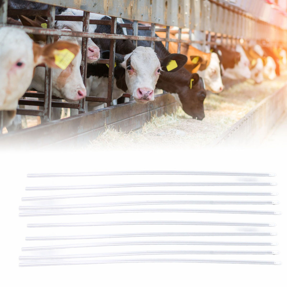 100PCS Breeding Rods Disposable Breeding Catheter Tube Artificial Insemination PE Fine Round Design Wide Compatibility for Cattle Dog Sheep Goat