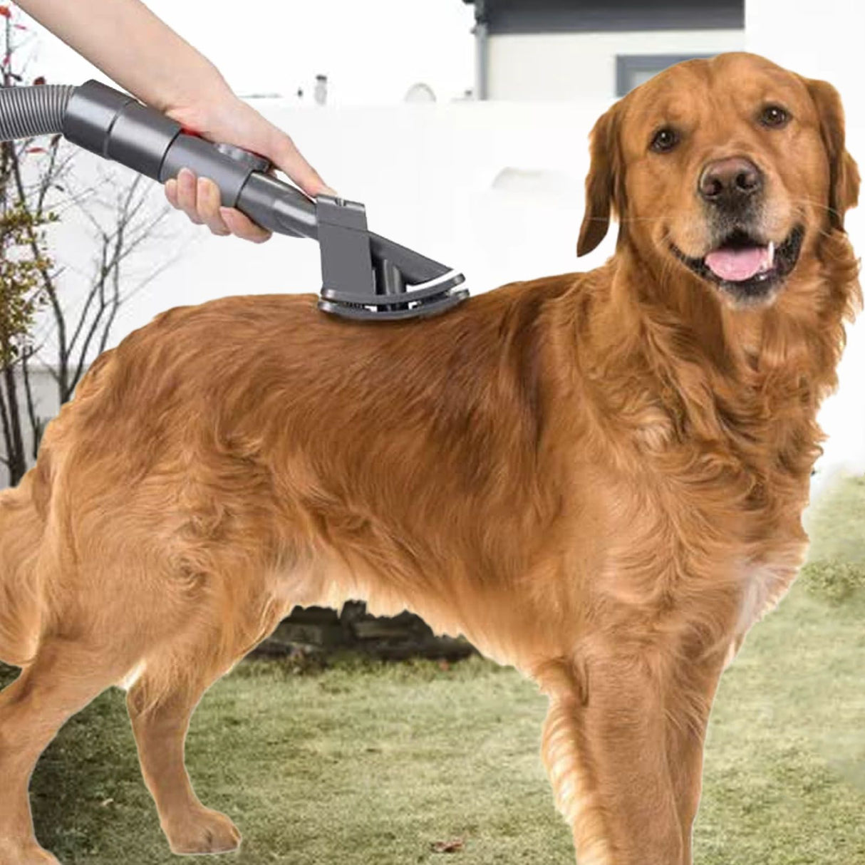 Vacuum Pet Brush for V6 V7 V8 V10 V11 V15 Efficient Vacuum Cleaner Pet Grooming Brush for Long Haired Dog Cat Other Animals