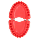 Denture Drill Bit Holder Denture Screwdriver Organizer 3D Sculpture Desk Decor 28 Holes Red Without Bits