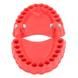 Denture Drill Bit Holder Denture Screwdriver Organizer 3D Sculpture Desk Decor 28 Holes Red Without Bits
