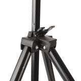 Artist Easel Stand Ferroalloy Adjustable Folding Tripod Display Easel for Drawing Painting Black
