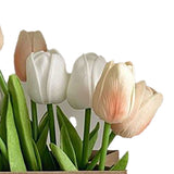 Artificial Flowers Tulipa Style Fine Details Colorfast Vibrant Colors Plastic Flowers for Office Living Room Photography White and Champagne