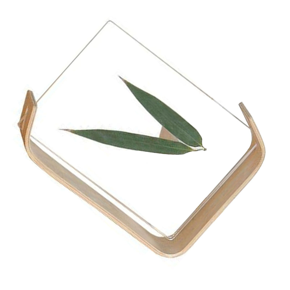 Desktop Plant Specimen Frame Wooden Acrylic Simple Modern Photo Frame Desktop Ornament Home Decoration