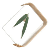 Desktop Plant Specimen Frame Wooden Acrylic Simple Modern Photo Frame Desktop Ornament Home Decoration - Top-Down View