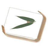 Desktop Plant Specimen Frame Wooden Acrylic Simple Modern Photo Frame Desktop Ornament Home Decoration