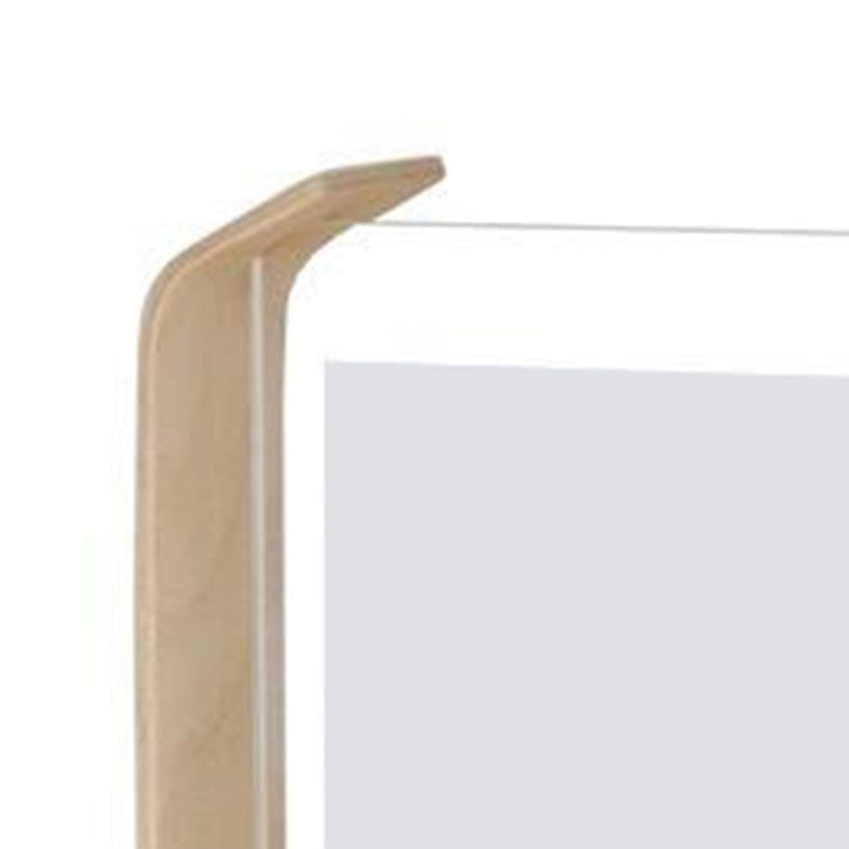 Desktop Plant Specimen Frame Wooden Acrylic Simple Modern Photo Frame Desktop Ornament Home Decoration