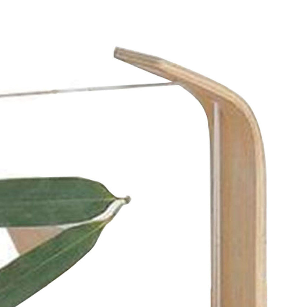 Desktop Plant Specimen Frame Wooden Acrylic Simple Modern Photo Frame Desktop Ornament Home Decoration