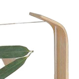 Desktop Plant Specimen Frame Wooden Acrylic Simple Modern Photo Frame Desktop Ornament Home Decoration